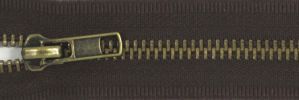  #5 Classic Plus Antique Brass Zipper (TA570)
