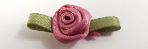 Satin Rose